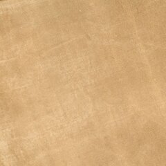 vidaXL Стул складной, коричневый, натуральная кожа и ткань цена и информация | Кресла | kaup24.ee