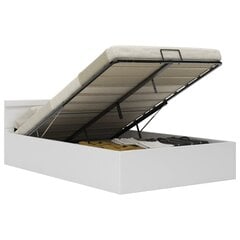 vidaXL hüdrauliline hoiukastiga voodiraam LED valge kunstnahk 120x200 hind ja info | Voodid | kaup24.ee