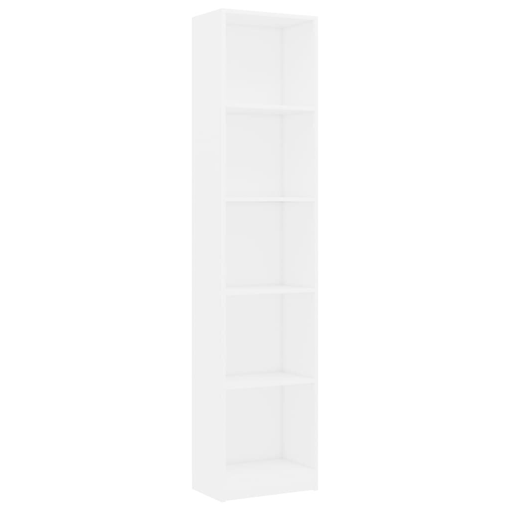 vidaXL 5-korruseline raamaturiiul valge 40x24x175 cm, puitlaastplaat hind ja info | Riiulid | kaup24.ee