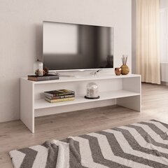 vidaXL telerikapp, valge, 120 x 40 x 40 cm, puitlaastplaat hind ja info | TV alused | kaup24.ee
