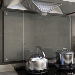 vidaXL köögi pritsmekaitse, läbipaistev, 100 x 60 cm, karastatud klaas hind ja info | Köögimööbli tarvikud | kaup24.ee