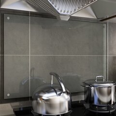 vidaXL köögi pritsmekaitse, läbipaistev, 90 x 60 cm, karastatud klaas цена и информация | Комплектующие для кухонной мебели | kaup24.ee