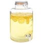 vidaXL veekann XXL, kraaniga, läbipaistev, 8 l, klaas hind ja info | Klaasid, tassid ja kannud | kaup24.ee