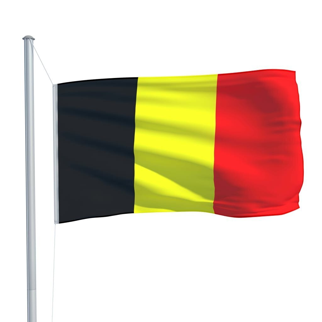 vidaXL Belgia lipp 90 x 150 cm цена и информация | Lipud ja tarvikud | kaup24.ee