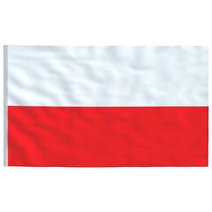 vidaXL Poola lipp 90 x 150 cm hind ja info | Lipud ja tarvikud | kaup24.ee