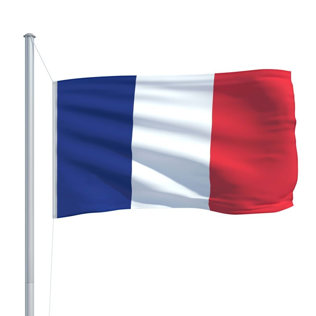 Prantsusmaa lipp 90 x 150 cm цена и информация | Lipud ja tarvikud | kaup24.ee