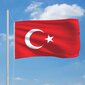 vidaXL Türgi lipp 90 x 150 cm hind ja info | Lipud ja tarvikud | kaup24.ee