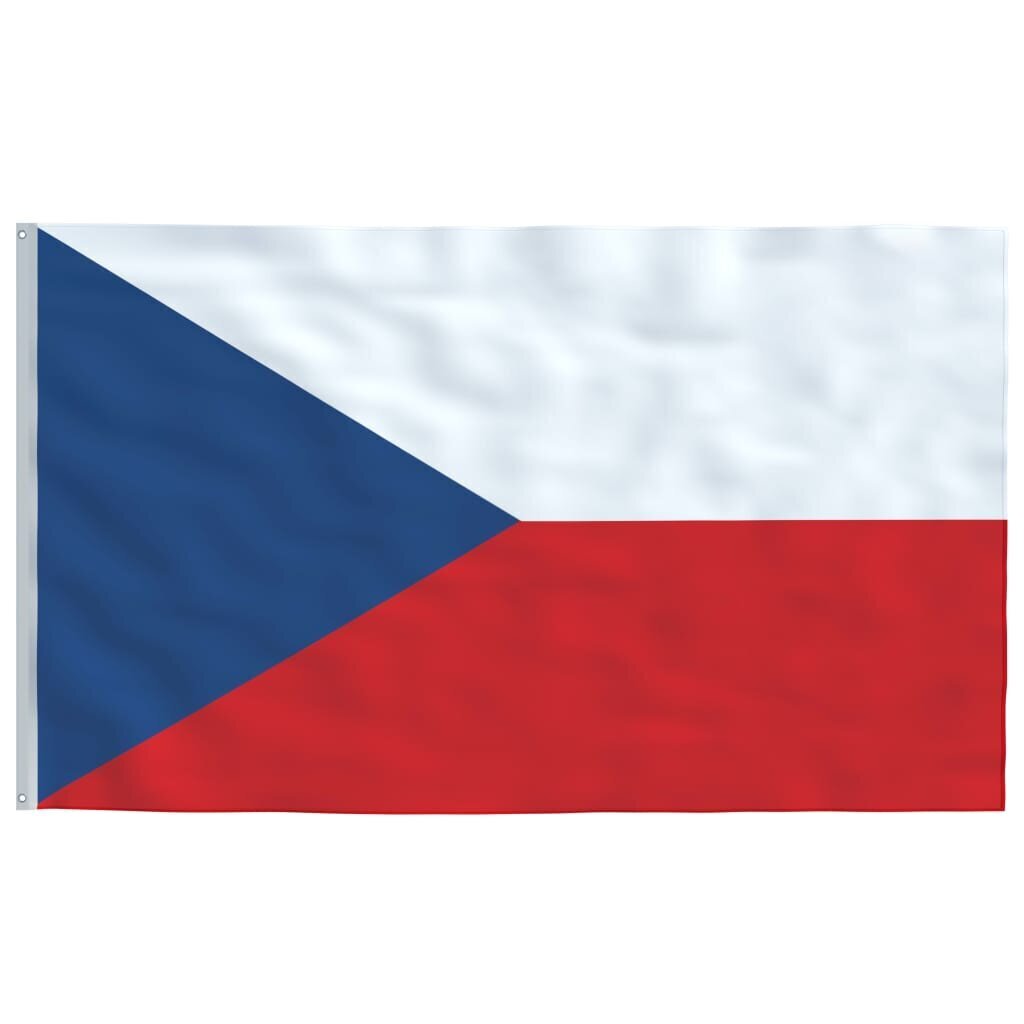 vidaXL Tšehhi lipp 90 x 150 cm цена и информация | Lipud ja tarvikud | kaup24.ee