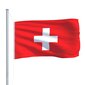 vidaXL Šveitsi lipp 90 x 150 cm цена и информация | Lipud ja tarvikud | kaup24.ee