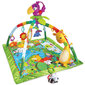 Tegelustekk helide, tulede ja mängutekiga Fisher Price Rainforest Melodies & Lights Deluxe hind ja info | Tegelustekid | kaup24.ee