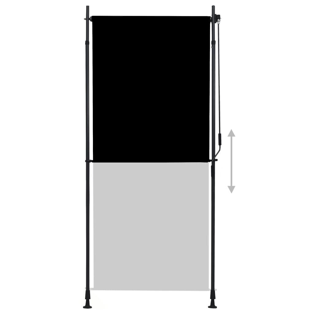 vidaXL väliruloo 100 x 270 cm, antratsiithall hind ja info | Rulood | kaup24.ee