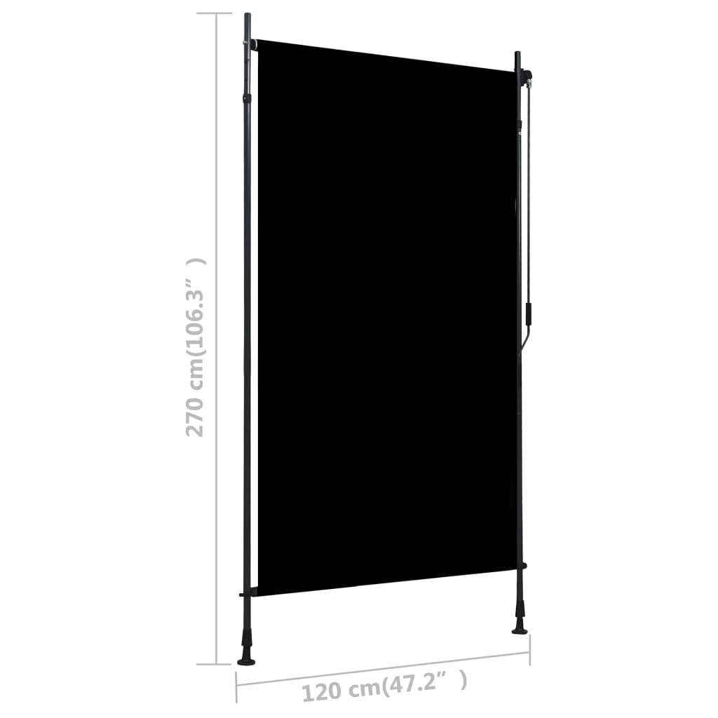 vidaXL väliruloo 120 x 270 cm, antratsiithall цена и информация | Rulood | kaup24.ee