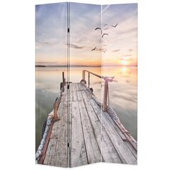 vidaXL kokkupandav sirm 120 x 170 cm, järv hind ja info | Sirmid ja vaheseinad | kaup24.ee