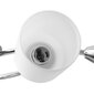vidaXL laelamp keraamiliste varjudega 5 E14 pirni jaoks, valge koonus цена и информация | Laelambid | kaup24.ee