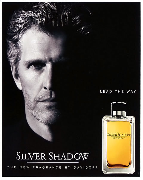 Tualettvesi Davidoff Silver Shadow EDT meestele 100 ml цена и информация | Meeste parfüümid | kaup24.ee