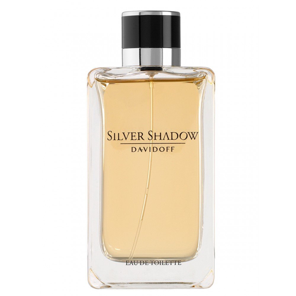 Tualettvesi Davidoff Silver Shadow EDT meestele 100 ml hind ja info | Meeste parfüümid | kaup24.ee