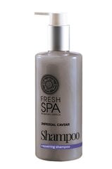 Uuendav šampoon Fresh Spa 300 ml hind ja info | Šampoonid | kaup24.ee