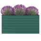 vidaXL kõrgendatud peenrakast 160x80x77 cm, tsingitud teras, roheline hind ja info | Dekoratiivsed lillepotid | kaup24.ee