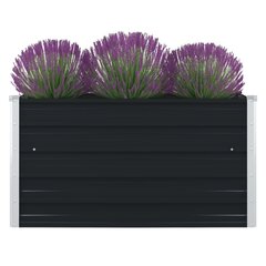 vidaXL kõrge peenrakast 100x100x45 cm, tsingitud teras, antratsiithall hind ja info | Dekoratiivsed lillepotid | kaup24.ee