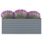 vidaXL kõrge peenrakast 160 x 80 x 45 cm, tsingitud teras, hall hind ja info | Dekoratiivsed lillepotid | kaup24.ee