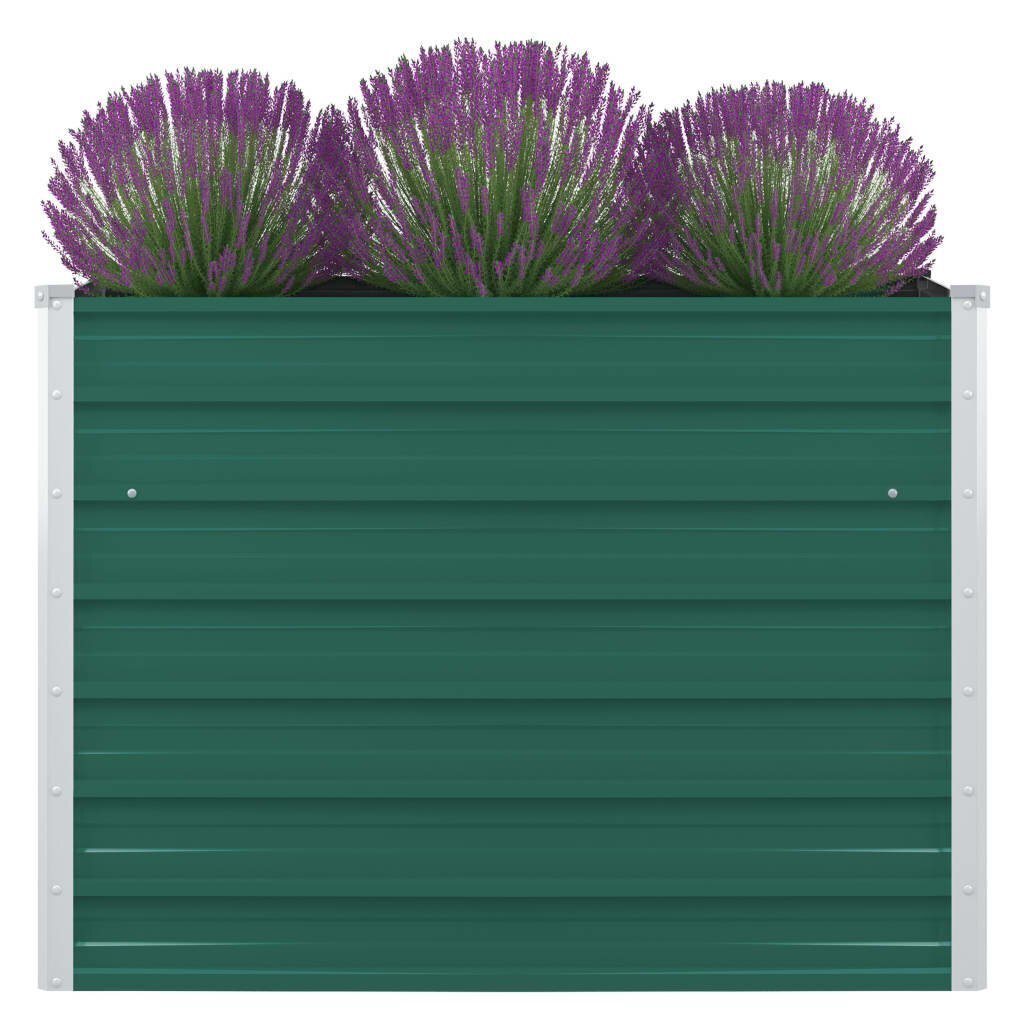 vidaXL kõrgendatud peenrakast 100x100x77 cm, tsingitud teras, roheline цена и информация | Dekoratiivsed lillepotid | kaup24.ee