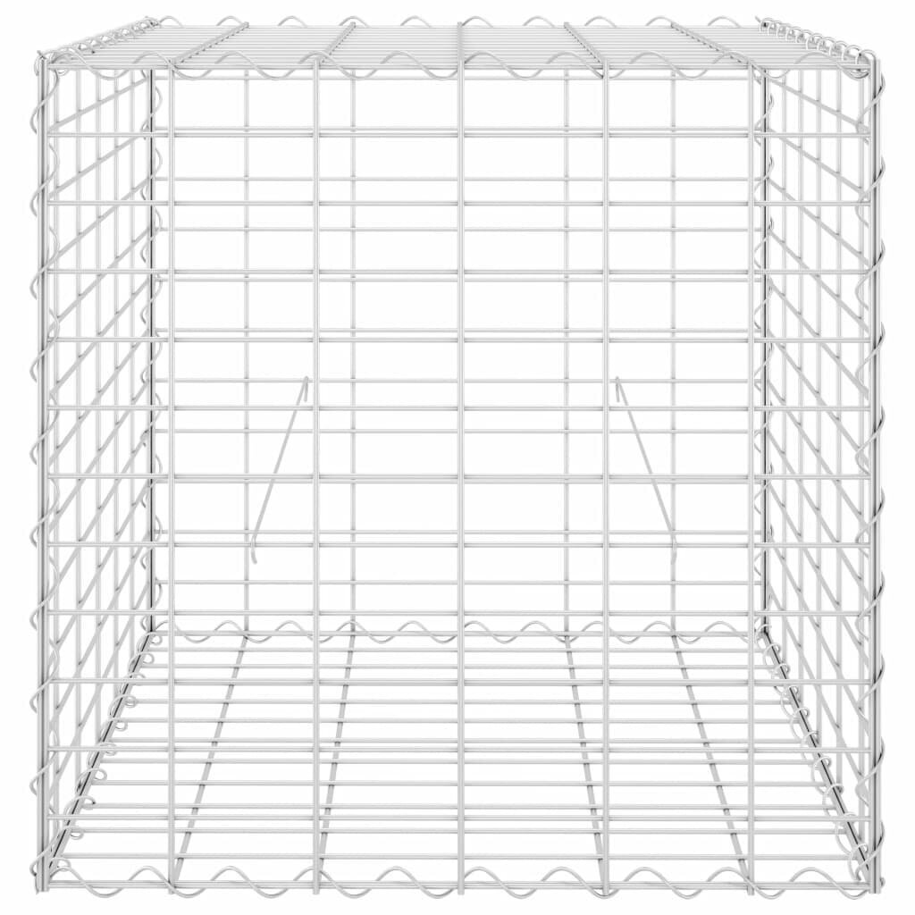 vidaXL kuubikukujuline gabioon-taimelava, teras 60 x 60 x 60 cm hind ja info | Dekoratiivsed lillepotid | kaup24.ee