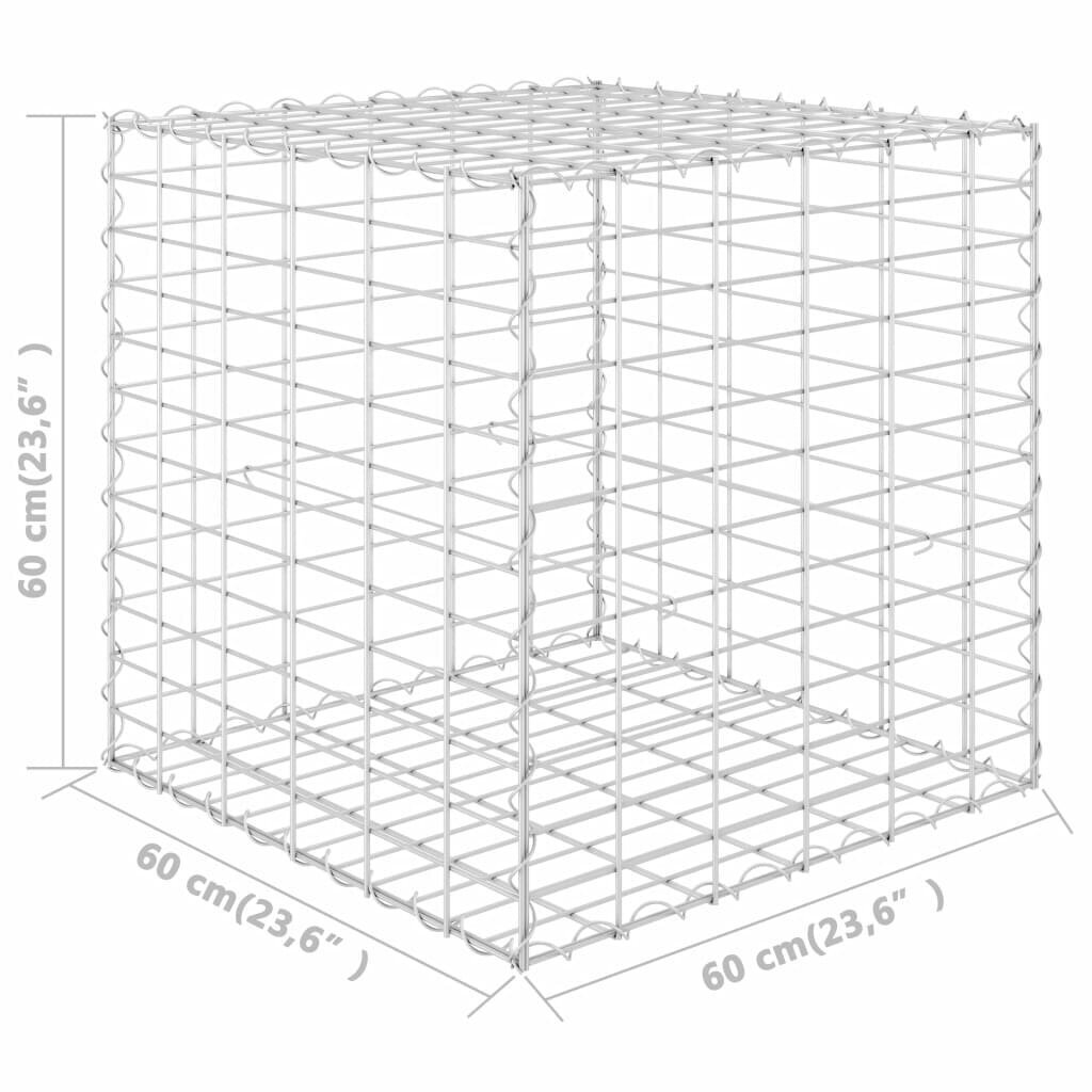 vidaXL kuubikukujuline gabioon-taimelava, teras 60 x 60 x 60 cm hind ja info | Dekoratiivsed lillepotid | kaup24.ee