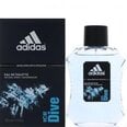 Adidas Ice Dive EDT meestele 100 ml