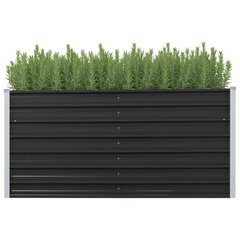 vidaXL aia taimelava antratsiithall 160 x 40 x 77 cm tsingitud teras цена и информация | Ящики для цветов | kaup24.ee