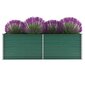 vidaXL taimelava, tsingitud teras, 240 x 80 x 77 cm, roheline hind ja info | Lillekastid | kaup24.ee