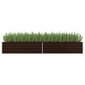 vidaXL aia taimelava pruun 320 x 80 x 45 cm tsingitud teras hind ja info | Lillekastid | kaup24.ee