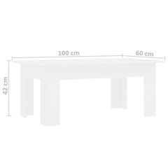 vidaXL kohvilaud, valge, 100 x 60 x 42 cm puitlaastplaat hind ja info | Diivanilauad | kaup24.ee