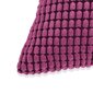 vidaXL veluurist diivanipatjade komplekt, 2 tk, 60 x 60 cm, roosa hind ja info | Dekoratiivpadjad ja padjakatted | kaup24.ee