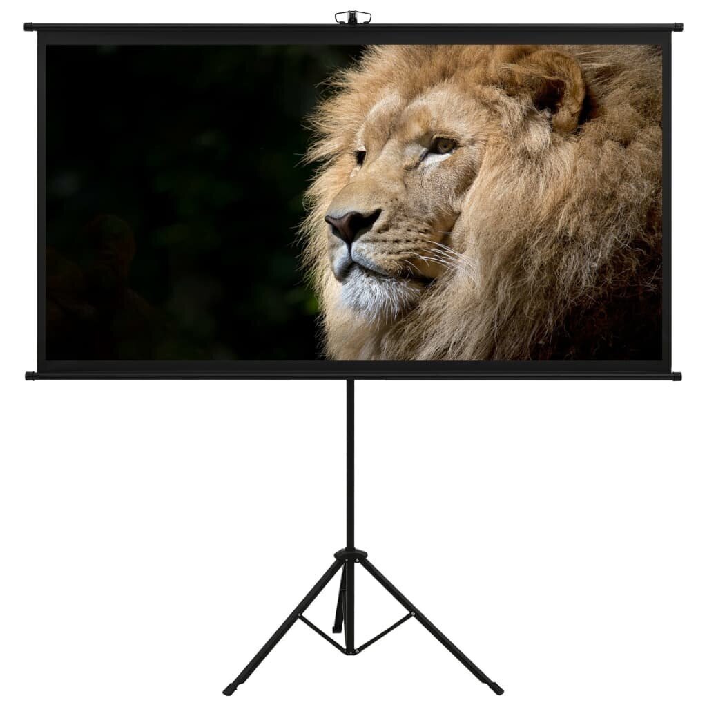 vidaXL projektori ekraan statiiviga, 108" 16:9 цена и информация | Projektori ekraanid | kaup24.ee