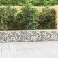 vidaXL kattega gabioonsein, tsingitud teras, 300 x 50 x 50 cm hind ja info | Aiad ja tarvikud | kaup24.ee