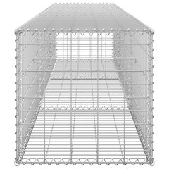 vidaXL kattega gabioonsein, tsingitud teras, 300 x 50 x 50 cm hind ja info | Aiad ja tarvikud | kaup24.ee