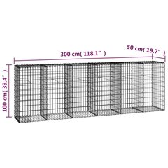 vidaXL kattega gabioonsein, tsingitud teras, 300 x 50 x 100 cm цена и информация | Заборы и принадлежности к ним | kaup24.ee