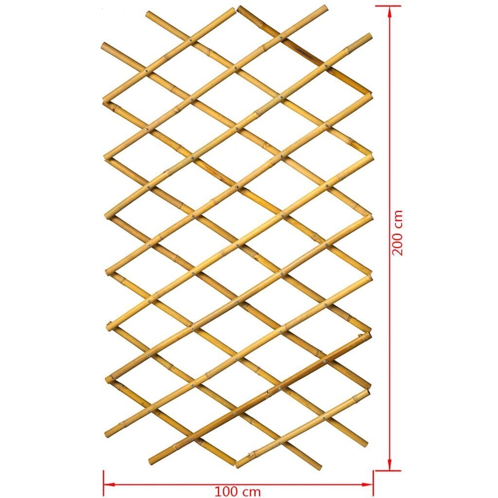 Nature aiavõre 100 x 200 cm, bambus, 6040722 hind ja info | Aiad ja tarvikud | kaup24.ee