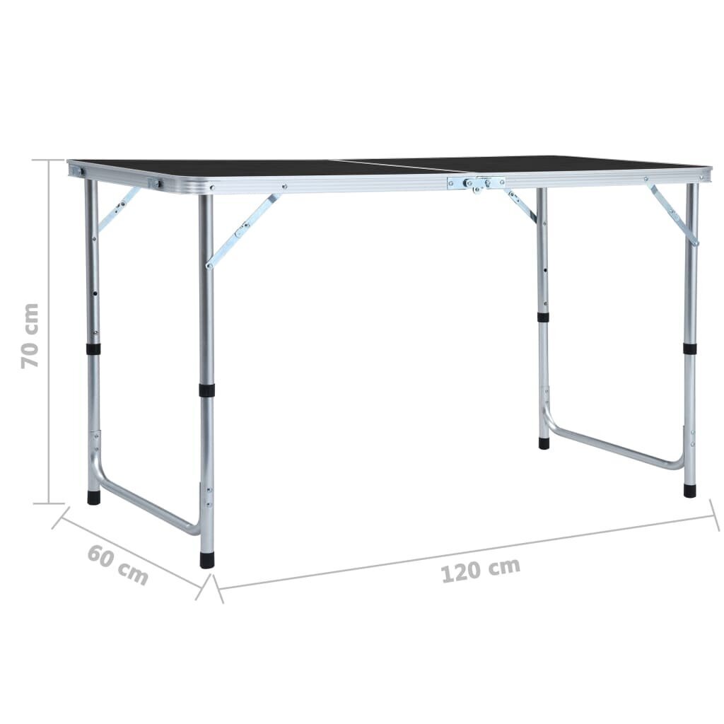 Kokkupandav matkalaud vidaXL, alumiinium, 120 x 60 cm, hall hind ja info | Matkamööbel | kaup24.ee