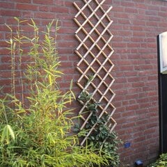 Nature aiavõre 45 x 180 cm, bambus цена и информация | Заборы и принадлежности к ним | kaup24.ee