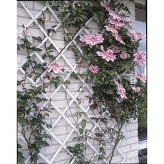 Nature aiavõre 50 x 150 cm, PVC, valge цена и информация | Заборы и принадлежности к ним | kaup24.ee