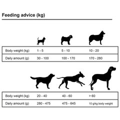 vidaXL koerte kuivtoit Adult Active Chicken & Fish 2 tk, 30 kg hind ja info | Kuivtoit koertele | kaup24.ee