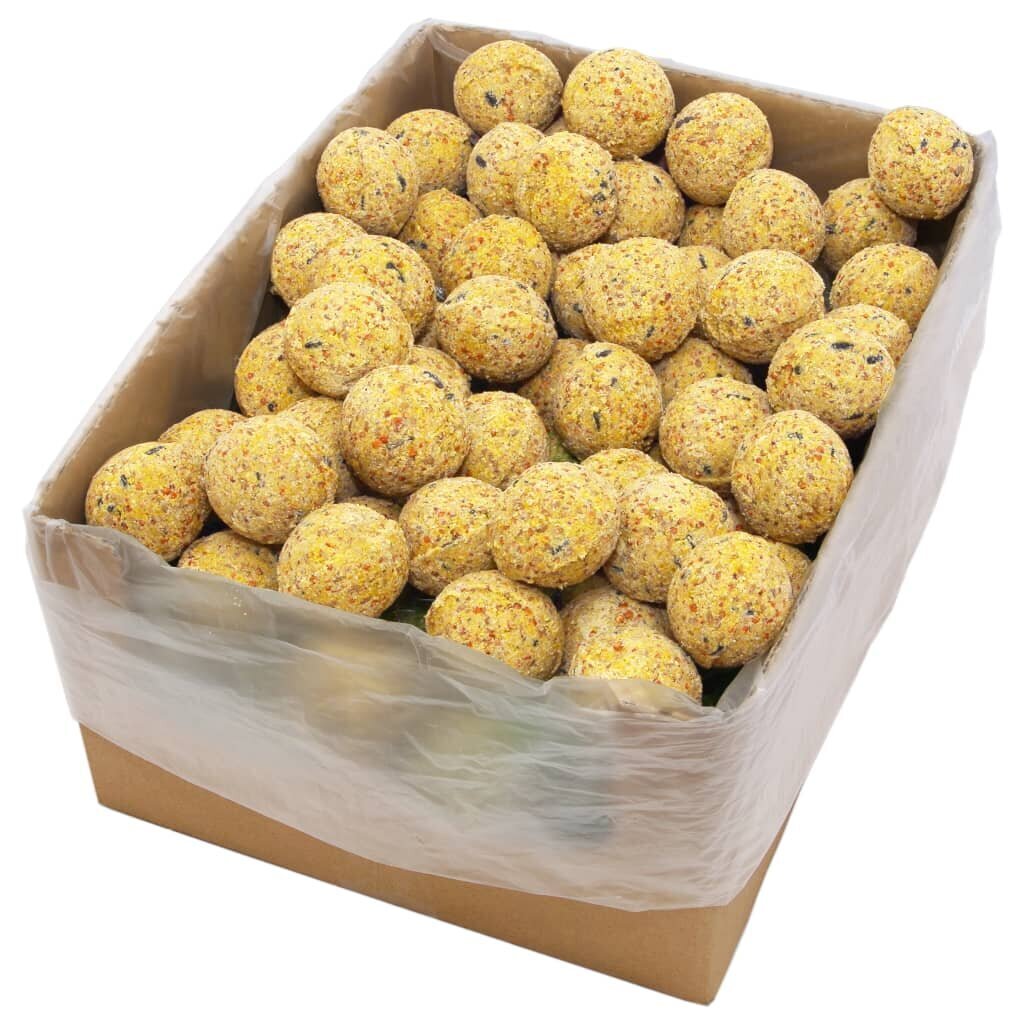 vidaXL rasvapallid, 200 tk, 90 g hind ja info | Linnutoidud | kaup24.ee
