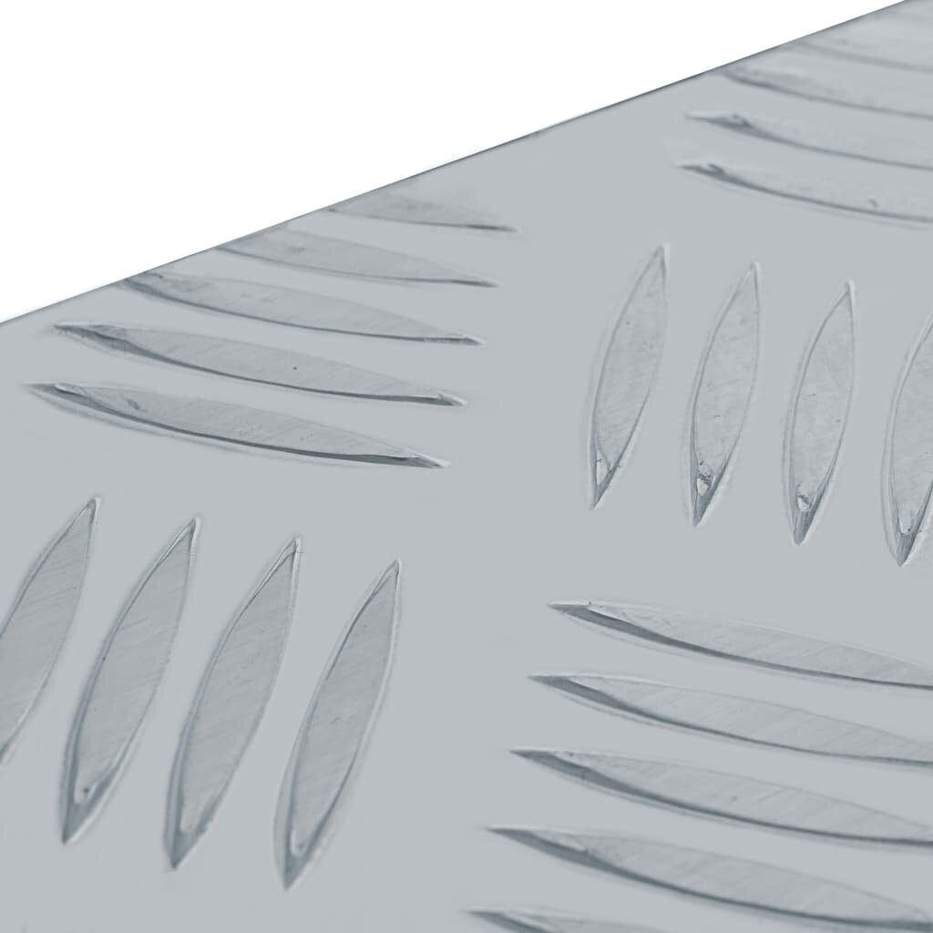 vidaXL alumiiniumist kast 48,5 x 14 x 20 cm, hõbedane цена и информация | Tööriistakastid, tööriistahoidjad | kaup24.ee