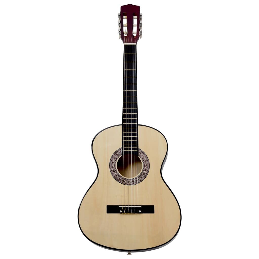 vidaXL klassikaline kitarr algajatele 4/4 39" Ameerika pärn цена и информация | Kitarrid | kaup24.ee
