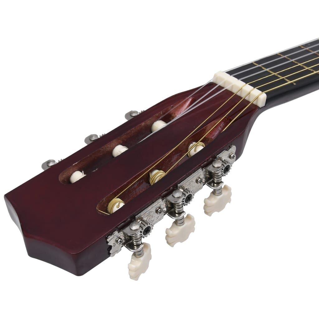 vidaXL 12-osaline klassikalise kitarri komplekt algajatele 4/4 39" hind ja info | Kitarrid | kaup24.ee