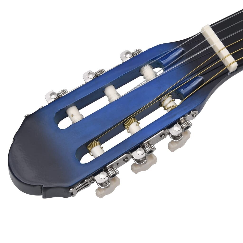 vidaXL klassikaline kitarr algajatele, sinine 4/4 39" Ameerika pärn hind ja info | Kitarrid | kaup24.ee