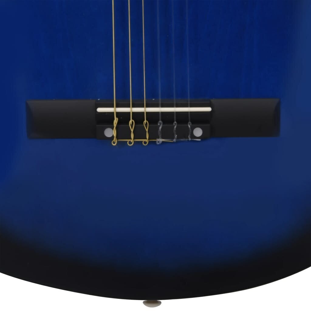 vidaXL 8-osaline kitarrikomplekt algajale, sinine 1/2 34" цена и информация | Kitarrid | kaup24.ee