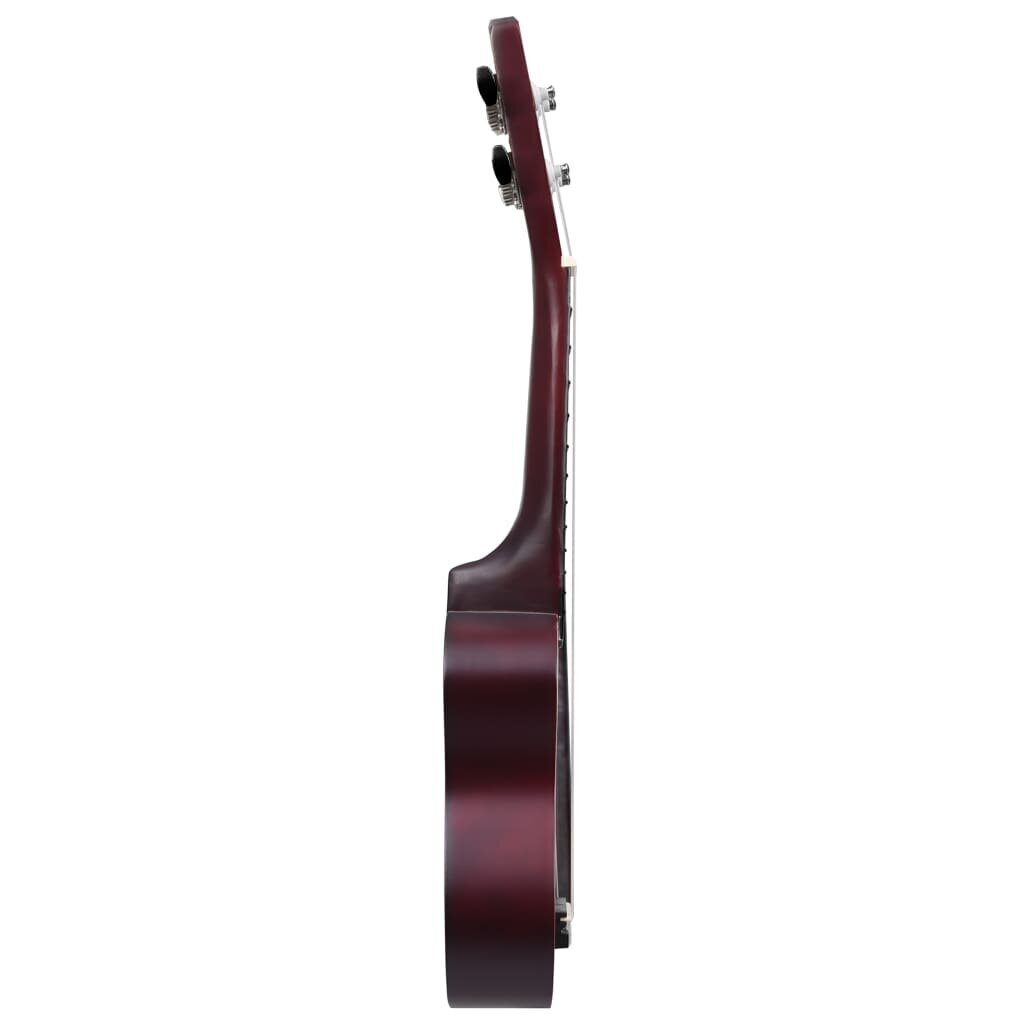 vidaXL sopran ukulele komplekt kotiga lastele hele puit 23" hind ja info | Kitarrid | kaup24.ee