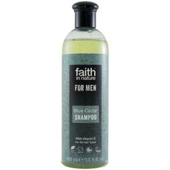 Sinise seedriga šampoon meestele Faith In Nature 400 ml hind ja info | Šampoonid | kaup24.ee